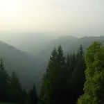 بيت ريفي Schwarzwaldgasthaus Linde 3*