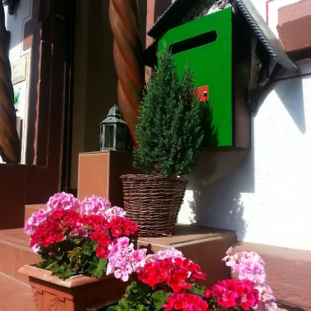 Inn Schwarzwaldgasthaus Linde Schramberg