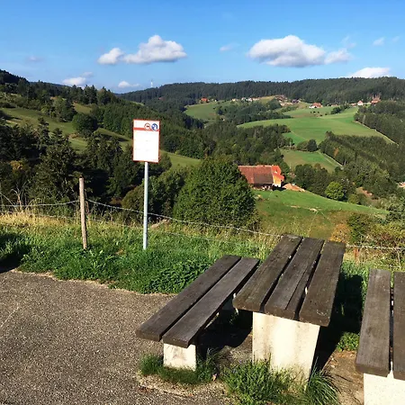 Schwarzwaldgasthaus Linde Schramberg