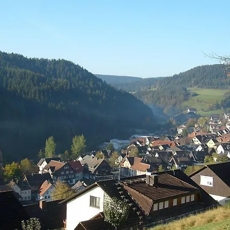 Schwarzwaldgasthaus Linde Inn