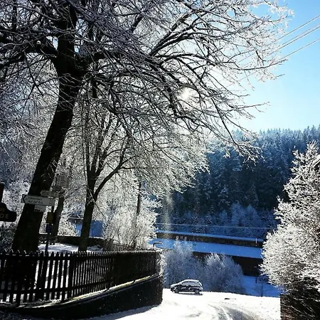 Schwarzwaldgasthaus Linde Inn Schramberg
