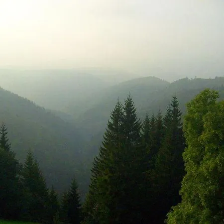Inn Schwarzwaldgasthaus Linde 3*