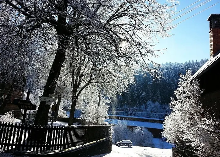 Schwarzwaldgasthaus Linde Inn Schramberg